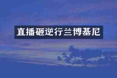 直播砸逆行兰博基尼