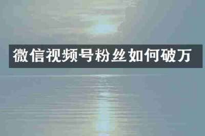 微信视频号粉丝如何破万