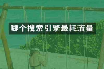 哪个搜索引擎最耗流量