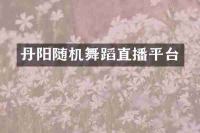 丹阳随机舞蹈直播平台