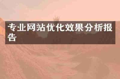 专业网站优化效果分析报告