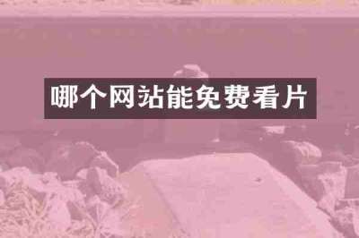 哪个网站能免费看片