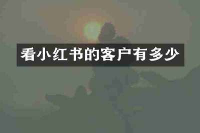 看小红书的客户有多少