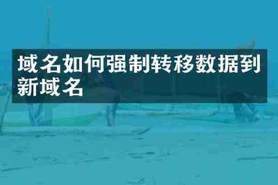 域名如何强制转移数据到新域名