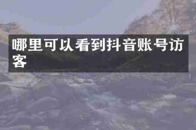 哪里可以看到抖音账号访客