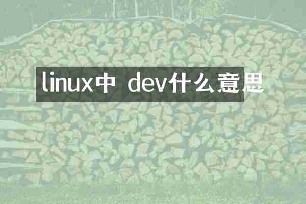 linux中 dev什么意思