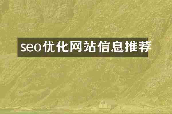 seo优化网站信息推荐