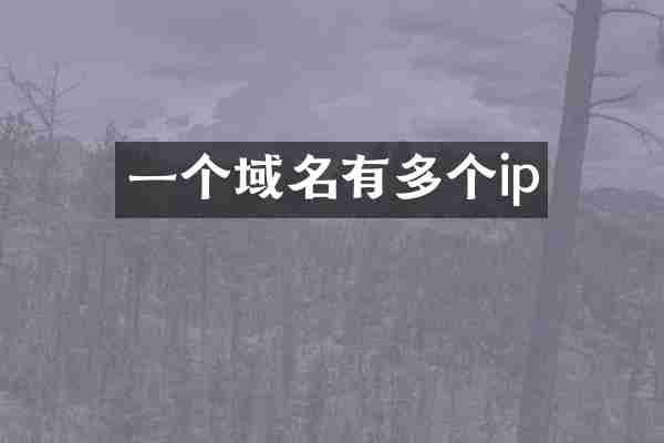 一个域名有多个ip