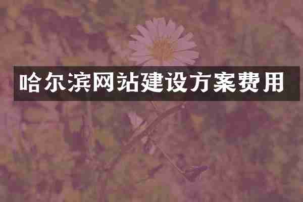 哈尔滨网站建设方案费用