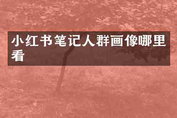 小红书笔记人群画像哪里看
