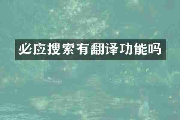 必应搜索有翻译功能吗