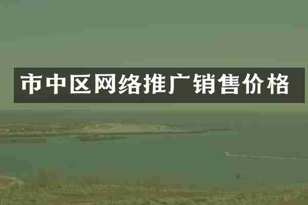 市中区网络推广销售价格