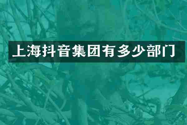 上海抖音集团有多少部门