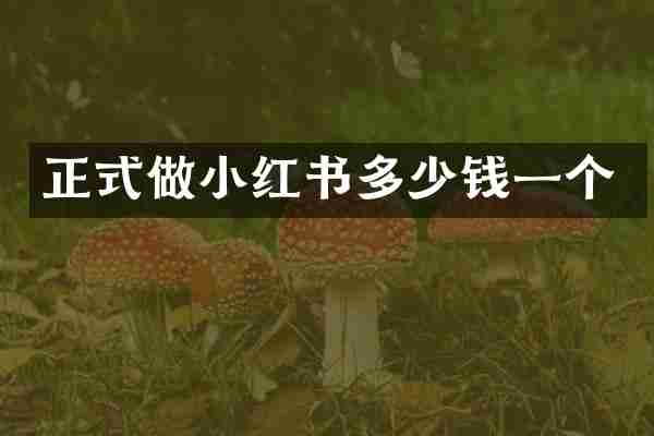 正式做小红书多少钱一个