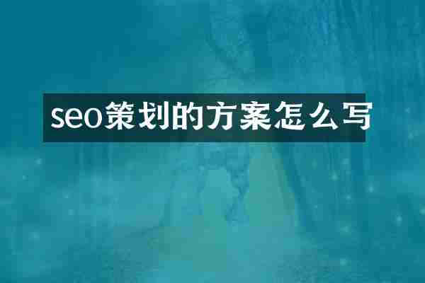 seo策划的方案怎么写