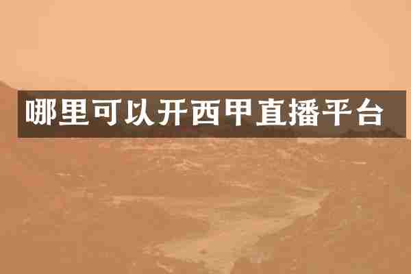 哪里可以开西甲直播平台