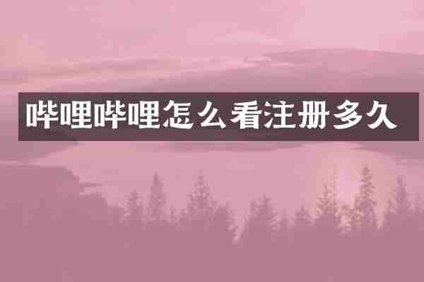 哔哩哔哩怎么看注册多久