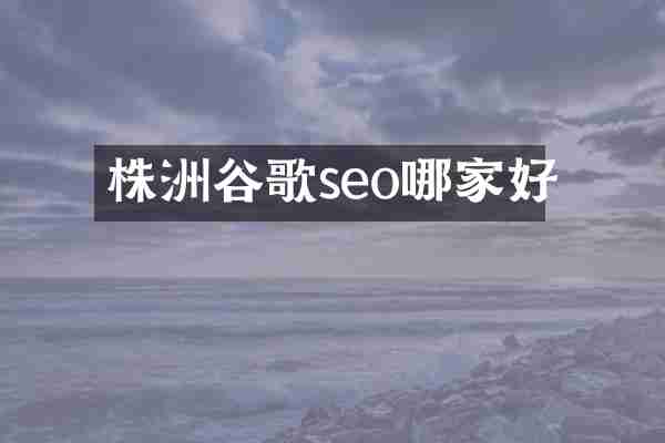 株洲谷歌seo哪家好