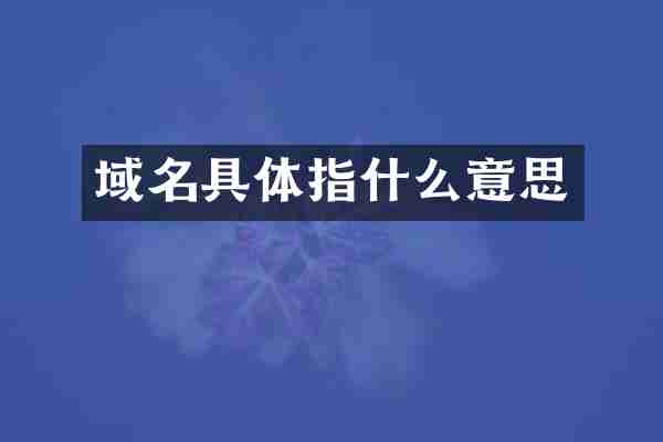 域名具体指什么意思