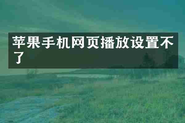 苹果手机网页播放设置不了