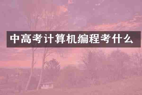 中高考计算机编程考什么