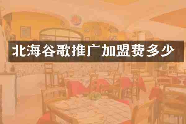 北海谷歌推广加盟费多少