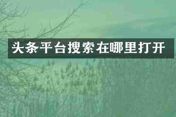 头条平台搜索在哪里打开
