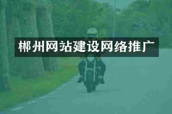 郴州网站建设网络推广