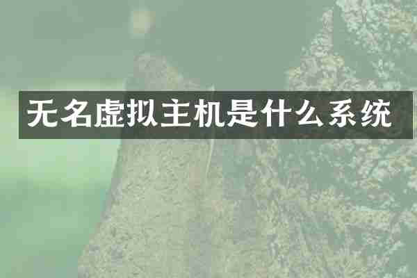 无名虚拟主机是什么系统