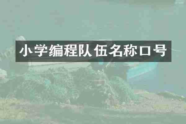 小学编程队伍名称口号