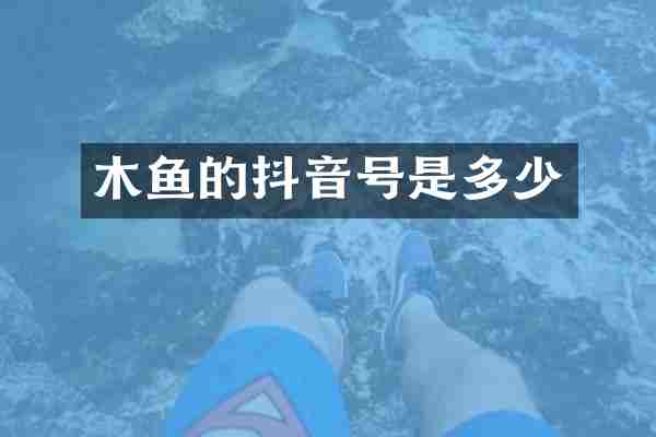 木鱼的抖音号是多少