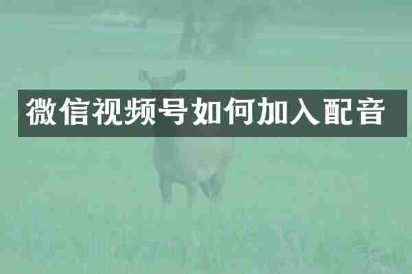 微信视频号如何加入配音
