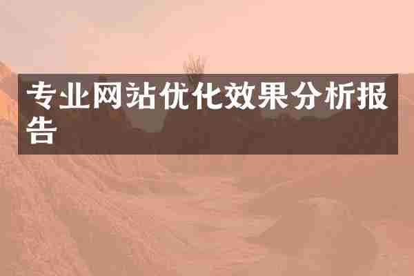 专业网站优化效果分析报告