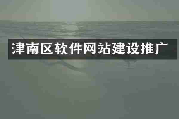 津南区软件网站建设推广