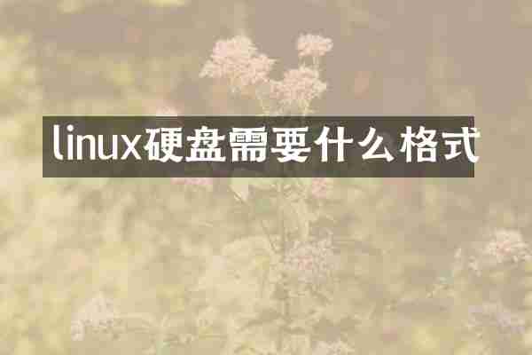 linux硬盘需要什么格式