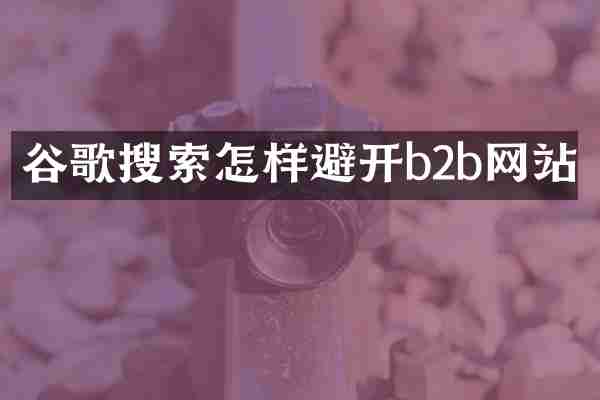 谷歌搜索怎样避开b2b网站