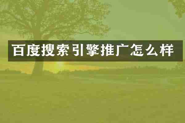 百度搜索引擎推广怎么样