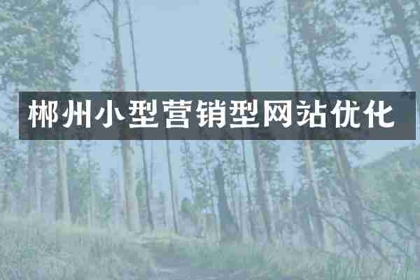郴州小型营销型网站优化