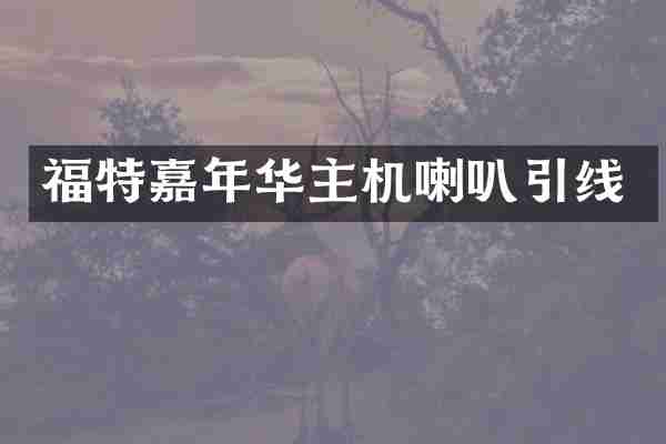 福特嘉年华主机喇叭引线