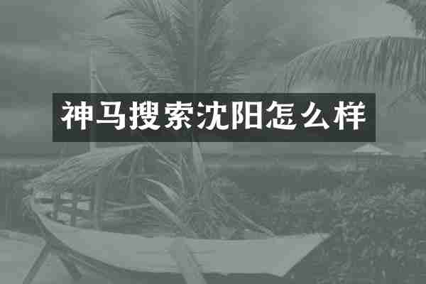 神马搜索沈阳怎么样