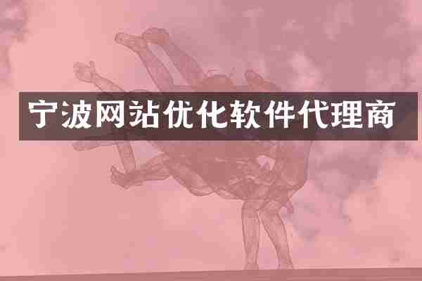 宁波网站优化软件代理商