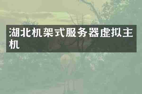 湖北机架式服务器虚拟主机