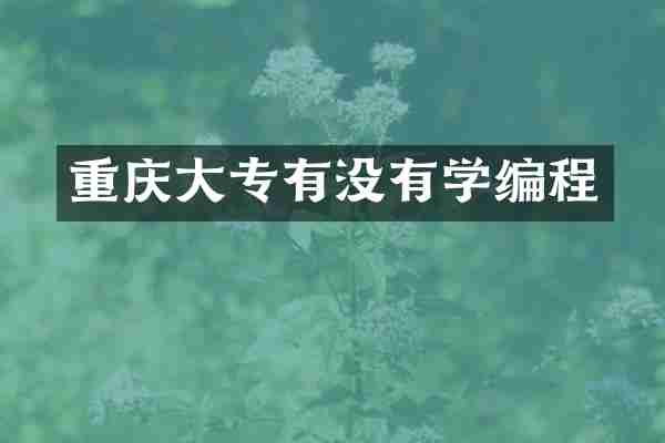 重庆大专有没有学编程