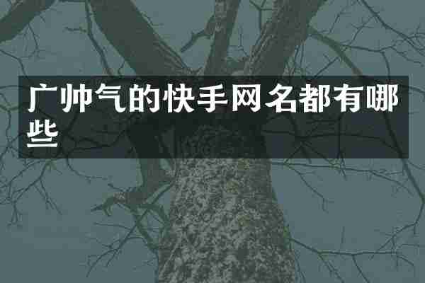 广帅气的快手网名都有哪些