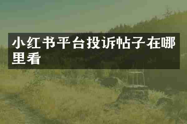 小红书平台投诉帖子在哪里看