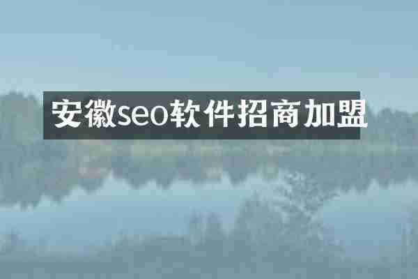 安徽seo软件招商加盟