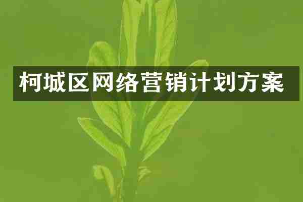 柯城区网络营销计划方案