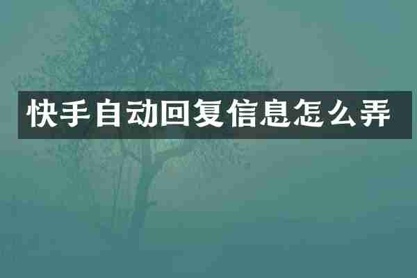 快手自动回复信息怎么弄
