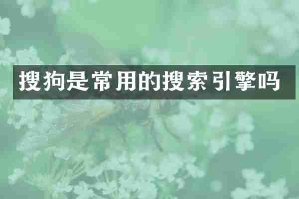 搜狗是常用的搜索引擎吗