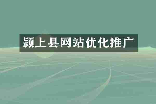 颍上县网站优化推广